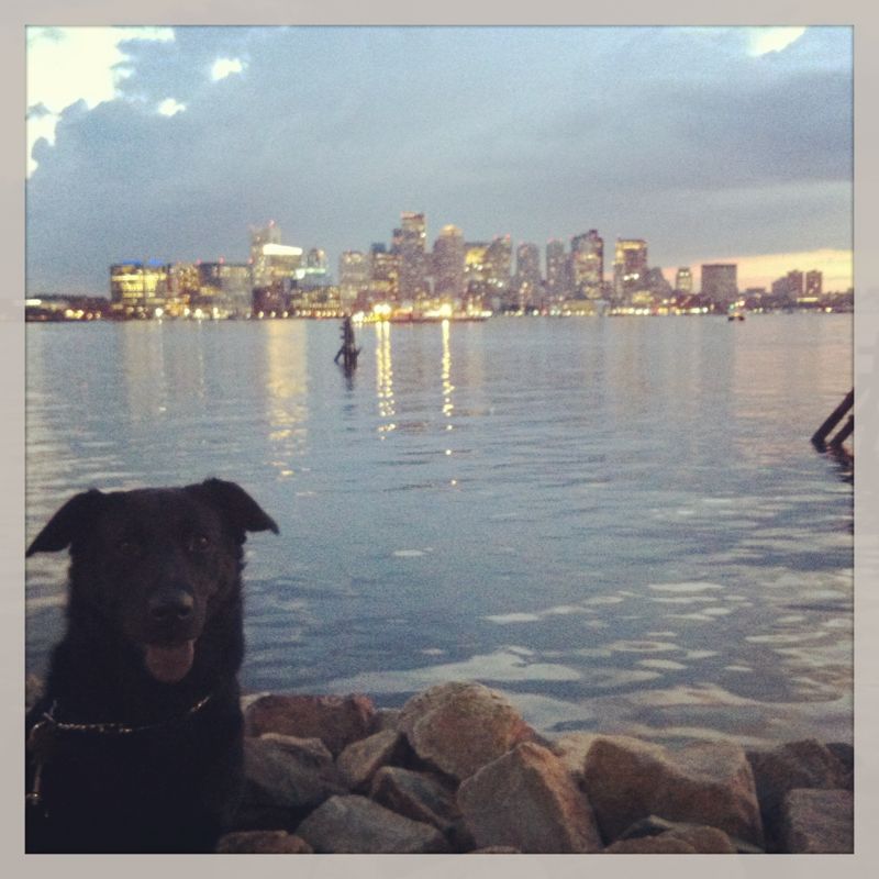 Kody-Boston-Skyline.jpg